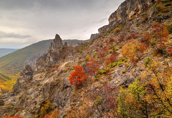 Beautiful mountain landscape with colorful autumn forest