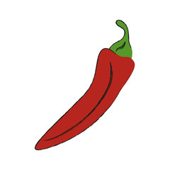 Natural hot chilli icon vector illustration graphic design