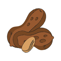Nuts natural snack icon vector illustration graphic design