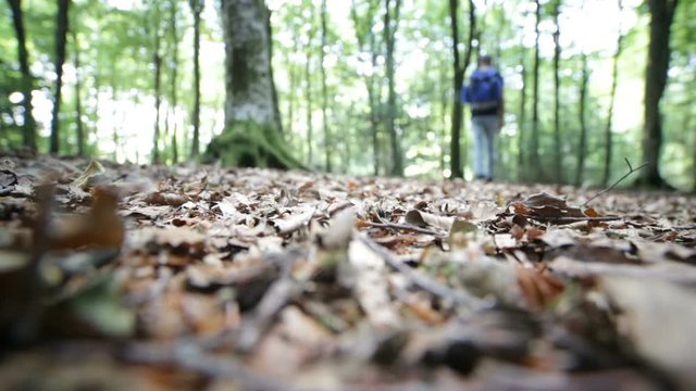 Piedi di un esploratore che camminano in montagna sulle foglie secche degli alberi