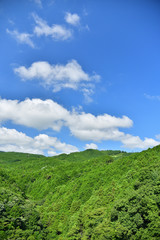 Fototapeta na wymiar Japanese mountains at summer