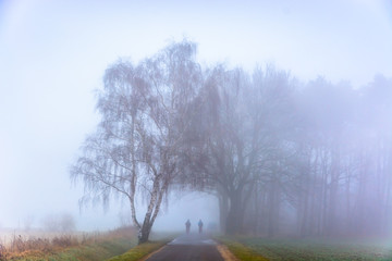 Foggy morning two people cycling to school