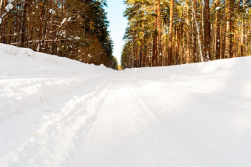 Winter road in the coniferous forest