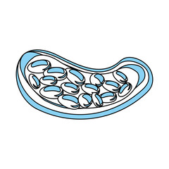 Nuts natural snack icon vector illustration graphic design