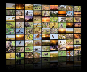 A variety of images of Botswana as a big image wall, documentary channel