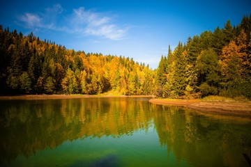 Obraz premium autumn