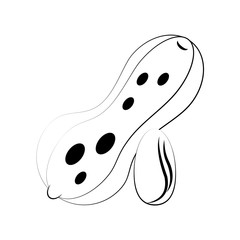 Nuts natural snack icon vector illustration graphic design