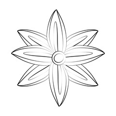 beautiful flower symbol icon vector illustration graphic design