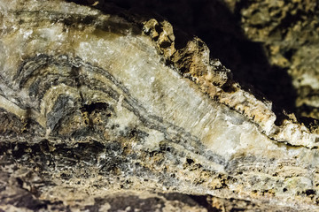 A cross-section with stalagmites.