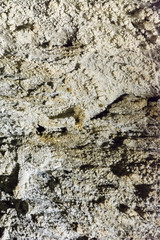 The crystals of aragonite on the wall of the cave.