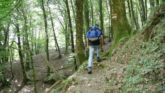 Esploratore ragazzo sta camminando nella foresta in montagna 