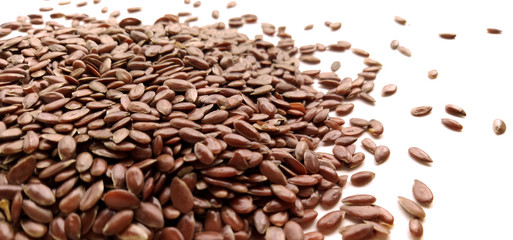Flax Seeds