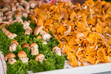 A lot of forest mushrooms on the counter of the European street market. Porcini
mushrooms and chanterelles mushrooms.