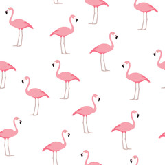 Flamingo seamless pattern