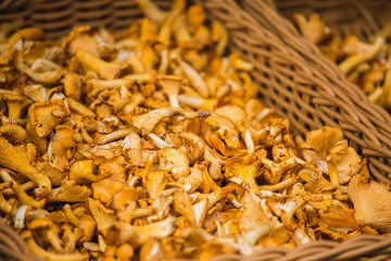 Sale of mushrooms on the farm market
