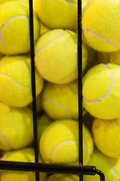 Large number of yellow tennis balls in the basket