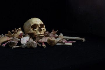 Skull on pile bone on black background, dim light in Halloween night