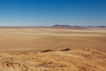 Fototapeta na wymiar Namibia desert , Veld , Namib 