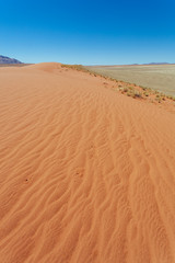 Fototapeta na wymiar Namibia desert , Veld , Namib 