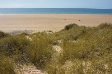 Les dunes de Biville (Le Cotentin)