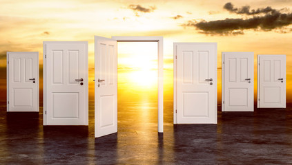 die eine offene Tür