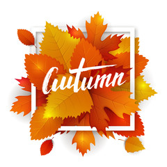 Obraz premium Autumn leaves lettering label. Vector hand drawn typography on a fall leaves background