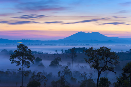 Fototapeta Sunrise with landscape tropical forest view during winter.