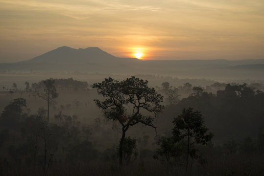 Fototapeta Sunrise with landscape tropical forest view during winter.
