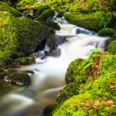Wasserfall in Triberg im Schwarzwald Wasserf&auml;lle