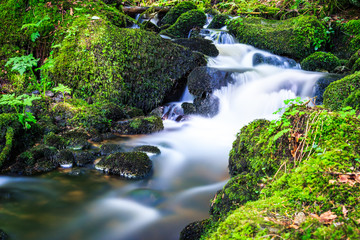 Wasserfall in Triberg im Schwarzwald Wasserf&auml;lle