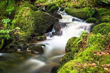Wasserfälle von Triberg im Schwarzwald Wasserfall und Wildbach