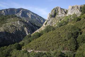 Fototapeta na wymiar Picos de Europa Mountain Range outside Labra, Austurias