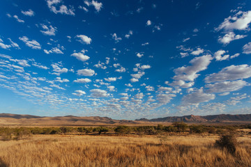 Namibian desert , Veld , Namib 