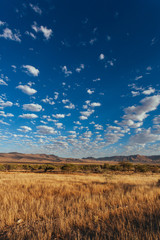Obraz premium Namibian desert , Veld , Namib 