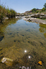 River in the Namibia  desert .