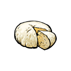 Round wheel home made cow milk, sheep, goat cheese with a piece cut out, sketch style vector illustration on white background. Realistic hand drawing of round fresh sheep, goat cheese