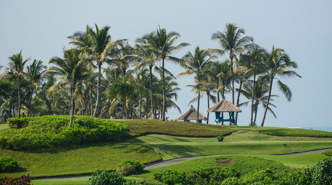 Golf club with green hill and many palm trees