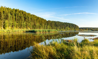 панорама лесного пейзажа с лесом, рекой и камышами Россия, Урал, август