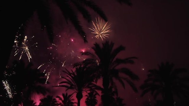 Fireworks multiple. Firework. Colorful fireworks atn holiday night