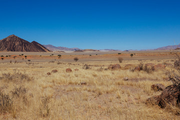 Namibian desert , Veld , Namib 