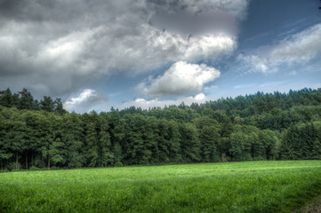 Landschaft im Bayerischen Wald
