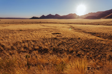 Namibian desert , Veld , Namib 