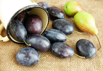 Fresh ripe plums