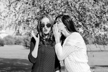 Two girlfriends are gossiping in the park. Relationships and thoughts of girls about men