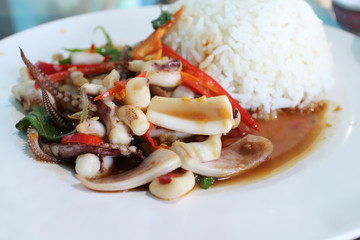 Thai food ,squid fried with  basil and chili.