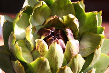 Artischocke Gem&uuml;se der Distel aus Italien