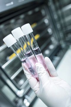 Scientist holding three test tubes with liquids