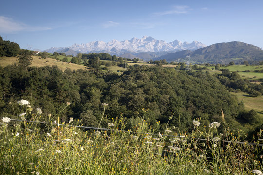 Picos de Europa Mountain Range outside Labra; Austurias