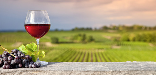 Vigne et verre de vin rouge