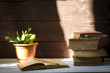 Beautiful image of stacked books next to a cactus on the wooden background under natural sunlight